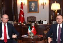 Meeting of Foreign Minister Mevlüt Çavuşoğlu with Foreign and Defense Minister Simon Coveney of the Republic of Ireland, 27 January 2021