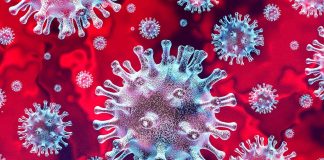 american-society-would-collapse-if-it-werent-for-these-eight-myths