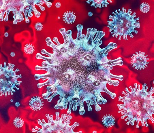 american-society-would-collapse-if-it-werent-for-these-eight-myths