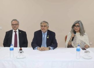 DPM Ishaq Dar interacts with Pakistani community in Gambia