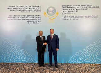 Deputy Prime Minister and Foreign Minister meets with the President of Kazakhstan