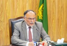 Terrorists’ anti-CPEC designs to fail as security beefed up: Ahsan assures