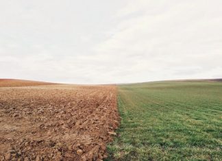 How Saudi women are turning sand into soil